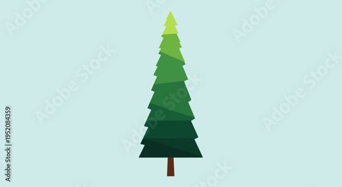 Green pine tree with brown trunk.