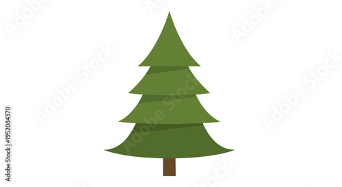 Green Pine Tree Evergreen Plant.