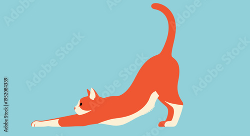 Orange cat in downward dog position.
