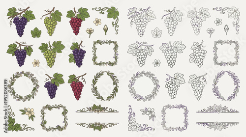 Collection of hand-drawn grape vine elements, including bunches of grapes, leaves, flowers, wreaths, and decorative borders in both color and outline styles.