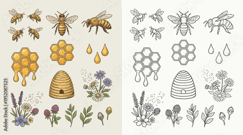 A collection of hand-drawn illustrations featuring bees, honeycombs, beehives, and wildflowers, presented in both color and outline.