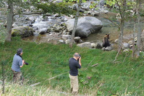 ヒグマに接近するカメラマン（北海道・知床）
