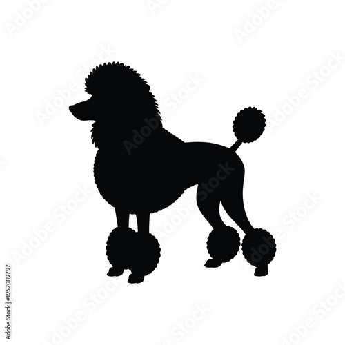 Cologne skyline silhouette featuring cathedral tower and bridge details