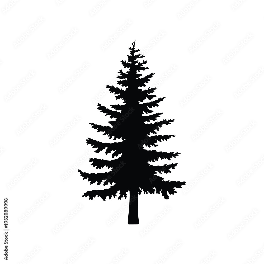 Obraz premium Simple silhouette of a coniferous evergreen tree against a white background