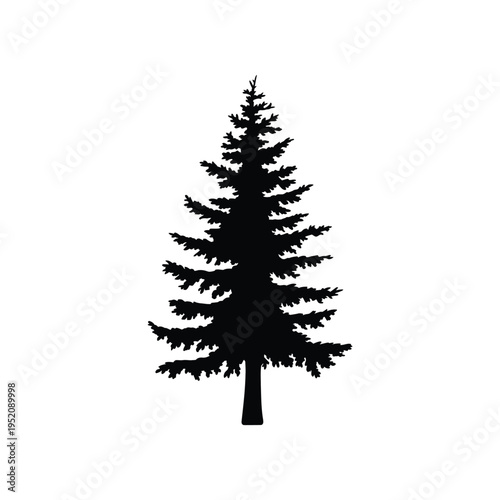 Simple silhouette of a coniferous evergreen tree against a white background