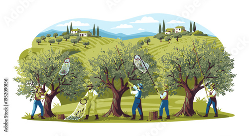 Illustration of people harvesting olives from trees in a scenic countryside landscape with rolling hills and buildings in the background.