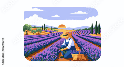 Illustration of a farmer harvesting lavender in a vibrant field with rows of purple flowers under a sunny sky with trees in the background.