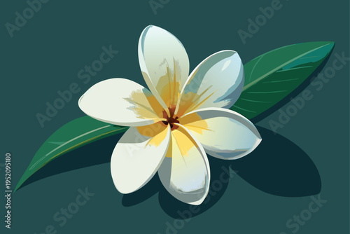 Exotic Watercolor Frangipani Plumeria Blossom Illustration for Tropical Floral Design Projects