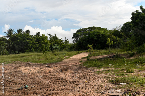 Принти на полотні empty dirt lot for construction and development, open land with tire tracks and