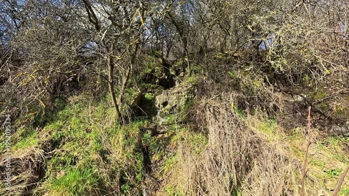 Water flowing down grassy hillside with shrubs and bare trees in autumn