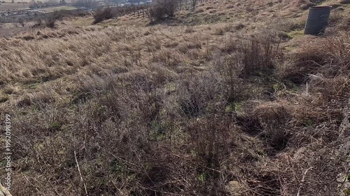 Dry meadow grass moving in wind on open countryside field