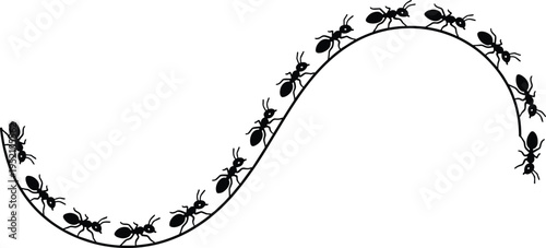 Ant trail silhouette path, black ants marching along curved line isolated on white background, vector illustration insect colony movement concept