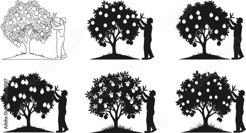 Fruit picking tree collection farmer harvesting orchard agriculture concept silhouette illustration rural lifestyle organic farming design isolated set