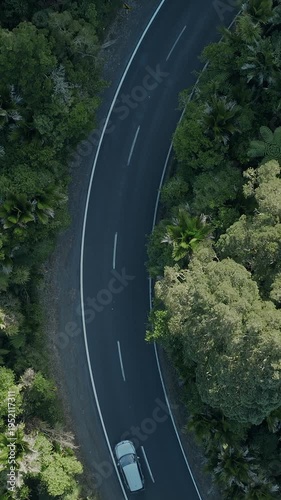 Aerial view of a car driving on a winding road through a lush green forest in New Zealand. The driver is enjoying a scenic road trip through nature.