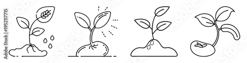 Four stages of plant growth process in line art illustration