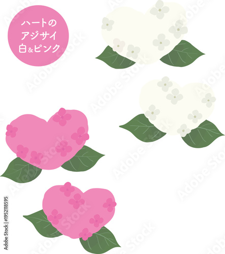 ハート型の紫陽花のフラットベクターイラスト｜白とピンクのかわいい梅雨の花素材（背景透過）　Heart-Shaped Hydrangea Flat Vector Illustration | Cute White and Pink Flower Isolated