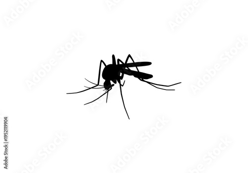 Flying mosquito silhouette isolated on white background clean insect vector