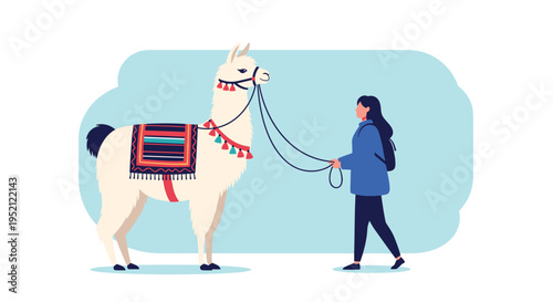 Stylish woman in a blue jacket leads a majestic white llama decorated with a traditional colorful saddle and decorative tassels.