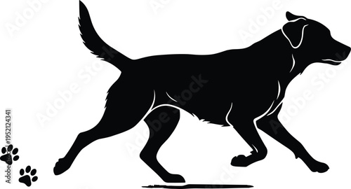 Black and white silhouette vector illustration of a running labrador retriever dog with paw prints behind isolated on a white background for commercial use