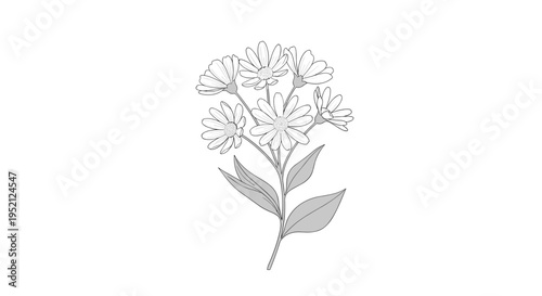 Delicate bouquet of wildflowers with thin stems and leaves shown in a soft gray sketch style on a white background.