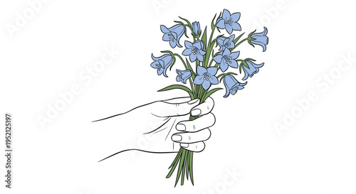 Delicate line drawing of a human hand holding a beautiful bouquet of fresh light blue bellflowers or bluebells.