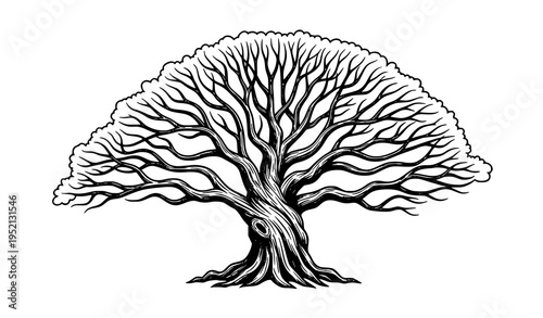 Majestic Ancient Tree Vector Art Nostalgic Nature Illustration