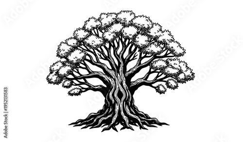 Ancient Old Tree Vector Illustration Detailed Nature Asset Design