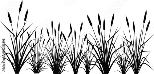 Black silhouettes of cattail plants Typha with long slender leaves and cylindrical flower spikes, botanical vector illustration for ecology, wetlands, nature, environment, and design concepts