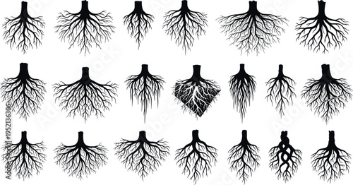 Gave me a title about this photo 'must have 20 word' for adobe stock with SEO maintain with comma

Gave me a keyword, 15 a word, 15 two word, 15 three word about this photo for adobe stock with SEO ma