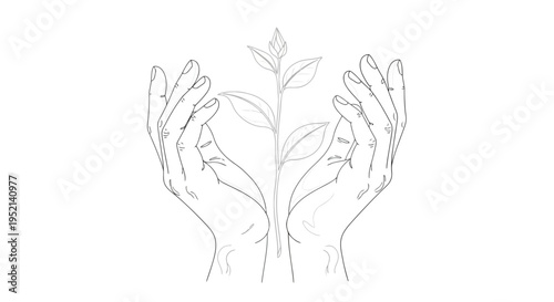Vector illustration detailed hands nurturing a plant with leaves on a white isolated background carefully