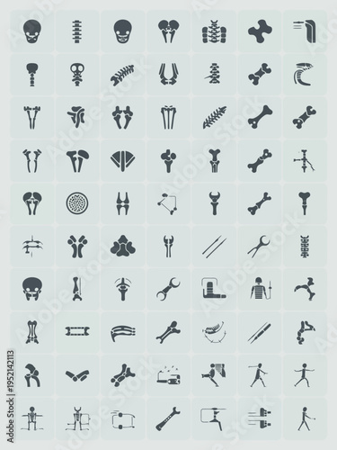 Orthopedic and Bone Anatomy Medical Icon Collection