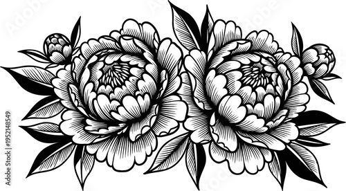 Illustration of Black and white peony flowers tattoo design