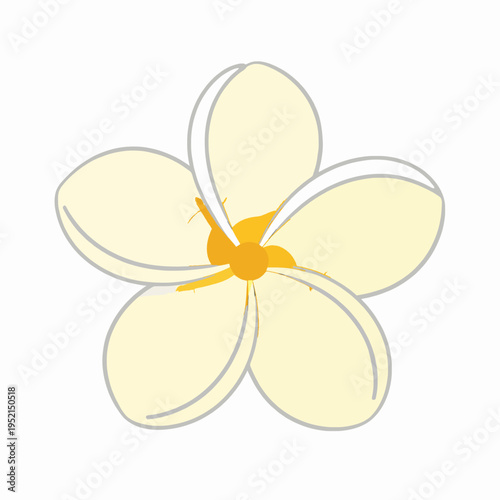 Minimalist flat vector illustration of a single white frangipani plumeria flower with a yellow center, iconic symbol of Thai Songkran festival and tropical nature, isolated on white background.