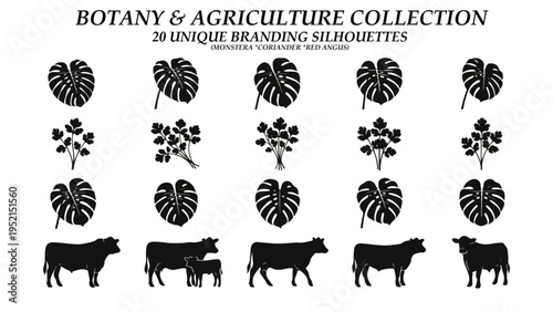 botany & agriculture collection 20unique branding silhouettes 