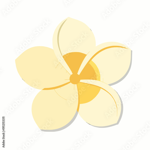 Flat vector illustration of a single blooming Southeast Asian white frangipani flower