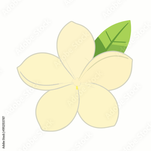 Flat vector illustration of a single blooming white frangipani flower with yellow center and green leaf