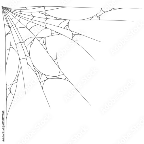 Realistic spider web vector illustration set isolated on transparent background. Creepy cobweb corner decoration for Halloween design, spooky gothic gothic aesthetic, hand-drawn net pattern graphic.