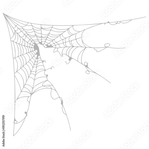 Realistic spider web vector illustration set isolated on transparent background. Creepy cobweb corner decoration for Halloween design, spooky gothic gothic aesthetic, hand-drawn net pattern graphic.