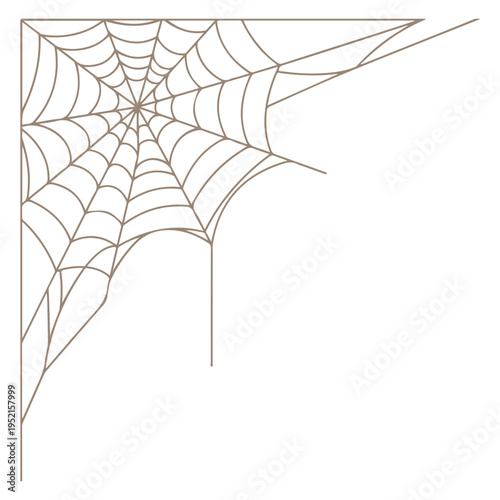 Realistic spider web vector illustration set isolated on transparent background. Creepy cobweb corner decoration for Halloween design, spooky gothic gothic aesthetic, hand-drawn net pattern graphic.