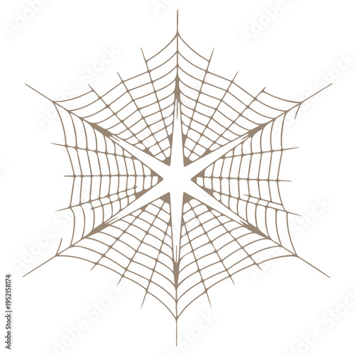 Realistic spider web vector illustration set isolated on transparent background. Creepy cobweb corner decoration for Halloween design, spooky gothic gothic aesthetic, hand-drawn net pattern graphic.