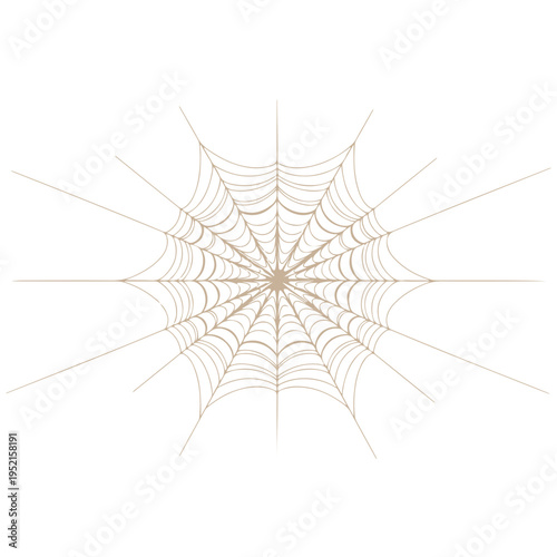 Realistic spider web vector illustration set isolated on transparent background. Creepy cobweb corner decoration for Halloween design, spooky gothic gothic aesthetic, hand-drawn net pattern graphic.
