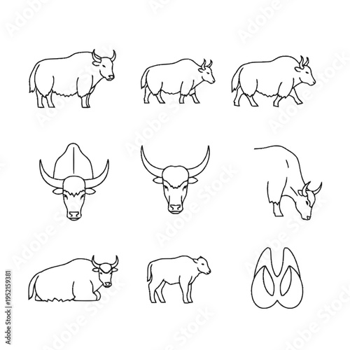 Set of minimalist yak line art icons including full body profiles, front view heads with horns, a calf, grazing and sitting poses, and a hoof print track, isolated on white.