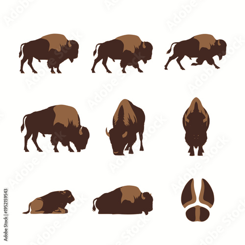 Vector illustration set of American bison in multiple poses including standing, running, grazing, and resting positions, with front view, baby calf, and a hoof print icon.