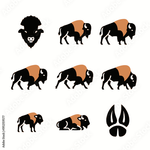 Vector illustration set of American bison icons and buffalo hoof print on white background, featuring various poses including standing, walking, lying down, and frontal head portrait.