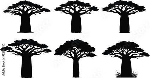 Collection of six baobab tree silhouettes with thick trunks and wide canopies, showcasing diverse foliage density, botanical design, and natural variations