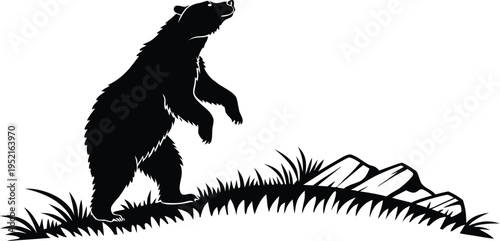 A black silhouette illustration of a large grizzly bear standing in a grassy mountain meadow area