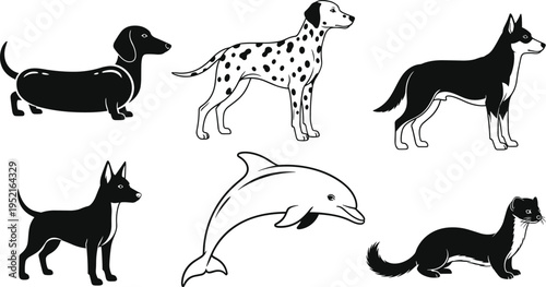 Animal Silhouette Vector Illustration Collection Featuring Dog Breeds Dolphin And Weasel For Wildlife Nature Graphics Mascot Logo And Pet Design