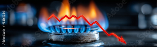 Energy Price Drop: The vivi...
