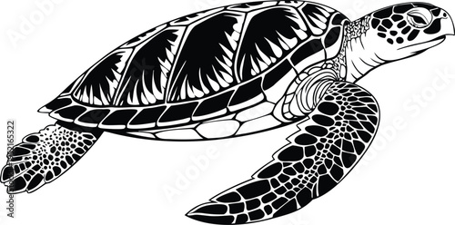A detailed black and white line art illustration of a sea turtle swimming in a graceful motion