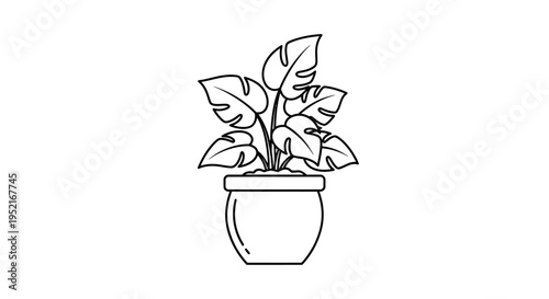 Potted Plant with Green Leaves.